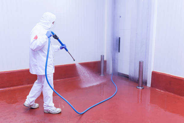 Best Solar Panel Cleaning  in Herndon, VA